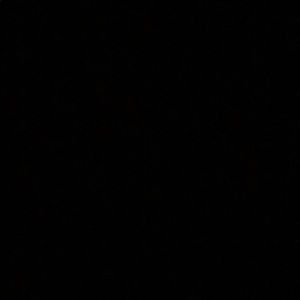 Meet your Posher, Nicholas